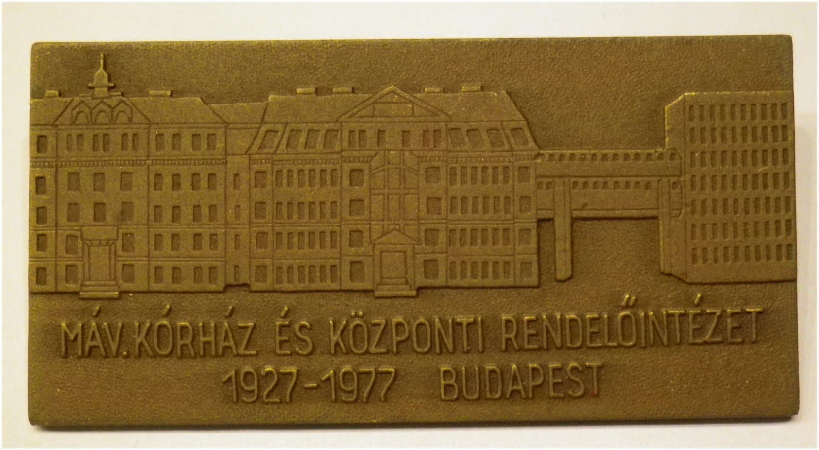 MÁV kórház és rendelőintézet 1927–1977 Budapest, plakett, 80x40 mm