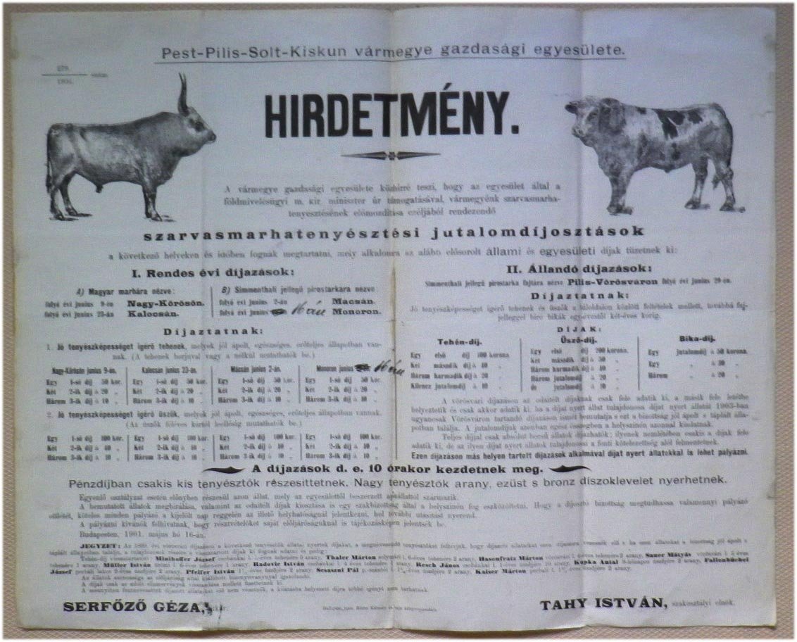 1901. Szarvasmarhatenyésztési jutalomdíjkiosztás hirdetménye (Nagy-Kőrös, Kalocsa, Mácsa, Monor, Pilis-Vörösvár helységekben) (44x36)