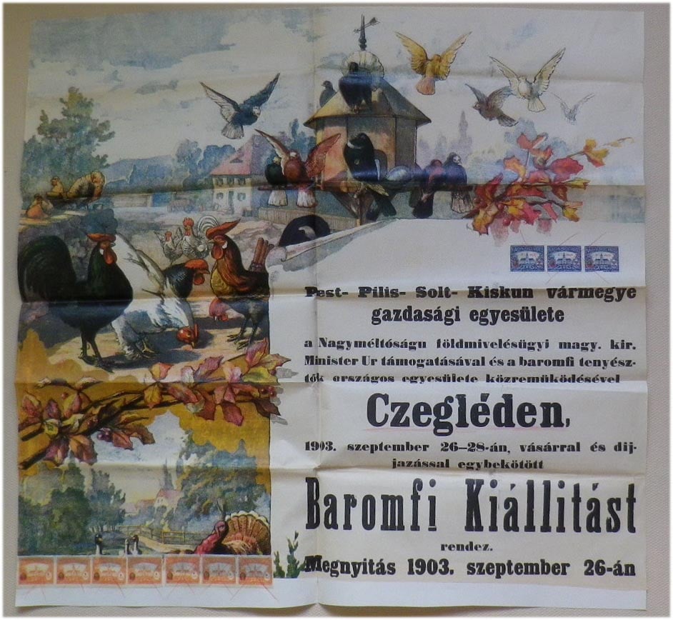 1903. Ceglád. Baromfikiállítás díszes plakátja (az alsó, felső széleken feltehetően vágott!) (65x61)